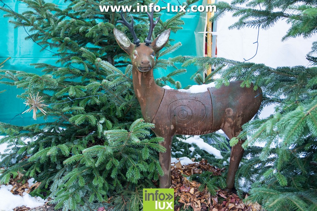 //media/jw_sigpro/users/0000001510/marche de noel a avioth/marche de noel avioth-4